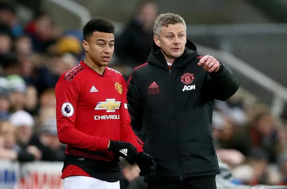 网球赛事中 网球赛事中