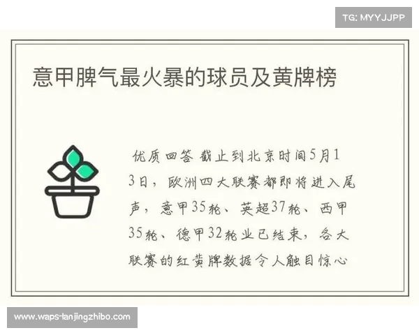 西甲联赛黄牌榜分析：哪些球员因频繁犯规频频领黄牌